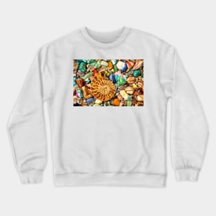 Fossilized Nautilus Shell On Polished Stones Crewneck Sweatshirt